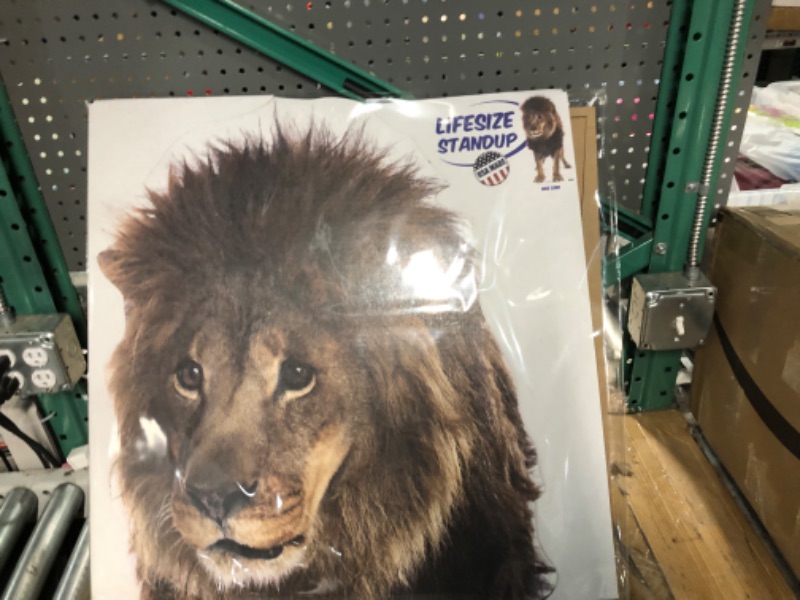 Photo 1 of Advanced Graphics Lion Life Size Cardboard Cutout Standup