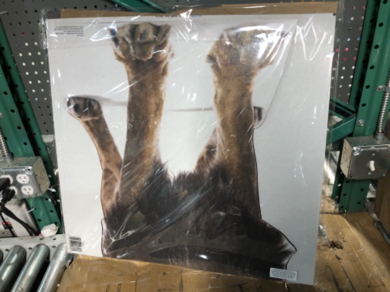 Photo 1 of Advanced Graphics Lion Life Size Cardboard Cutout Standup