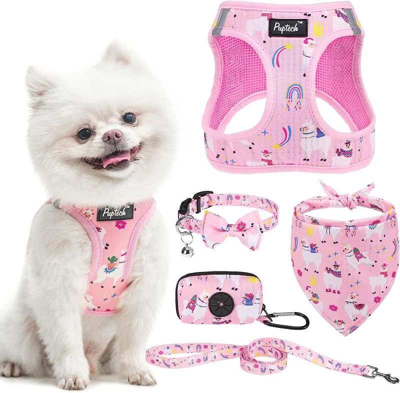 Photo 1 of *stock photo for reference* PUPTECK Soft Mesh Dog Harness and Leas 5 Pack Pet Accessories