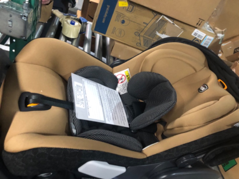 Photo 2 of Chicco Fit2 Infant & Toddler Car Seat - Cienna Cienna Fit2