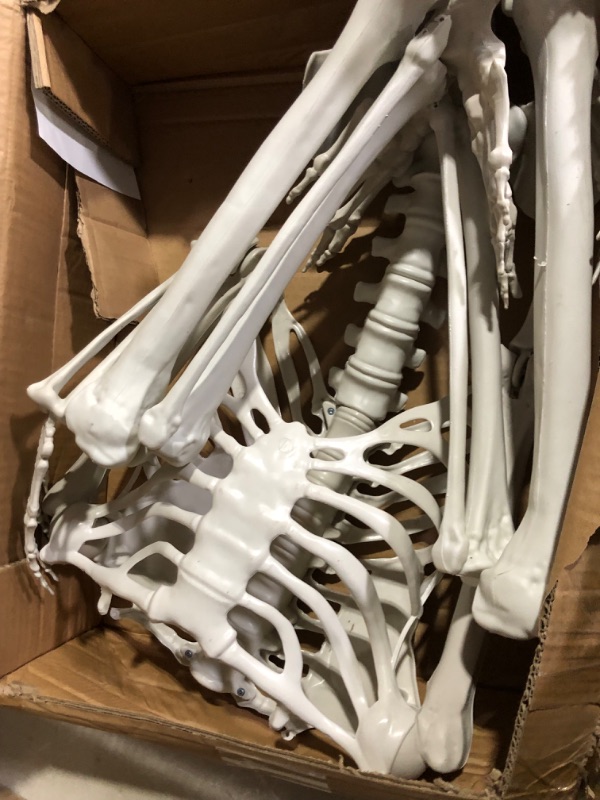 Photo 4 of *MISSING HEAD*
XONOR Halloween Skeleton Full Body Posable Joints Skeletons, 3ft Human Skeleton 