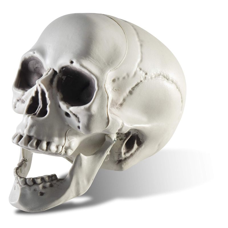 Photo 1 of  6.5" Plastic Skull Head Halloween Decor PACK OF 5