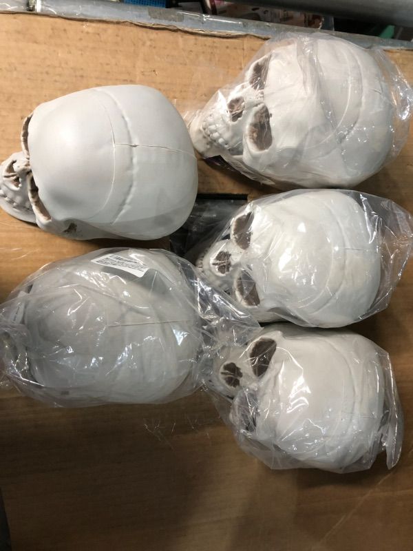 Photo 2 of  6.5" Plastic Skull Head Halloween Decor PACK OF 5