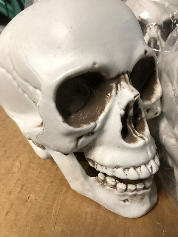 Photo 1 of  6.5" Plastic Skull Head Halloween Decor PACK OF 5
