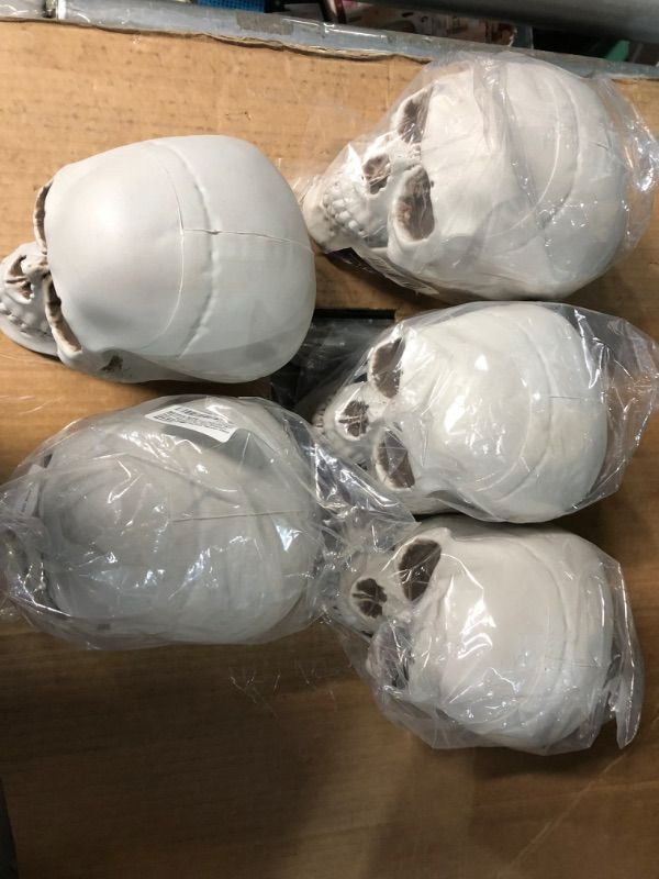 Photo 3 of  6.5" Plastic Skull Head Halloween Decor PACK OF 5