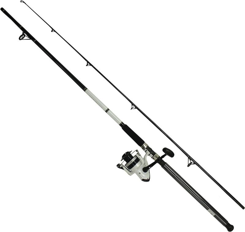 Photo 1 of (READ NOTES) Daiwa D-Wave Saltwater Spinning Combo (2 Piece) 10'