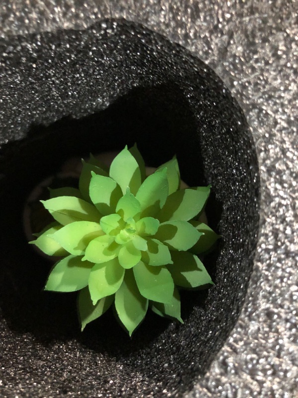 Photo 1 of * see all images *
DUZYXI Fake Succulents in Meditation Shape White Ceramic pots, Cute Fake Plants Shape  Set of 3 White1