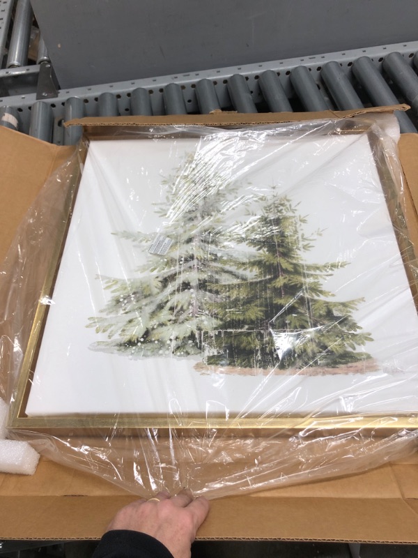 Photo 1 of 22x22 inch Pine Tree Print