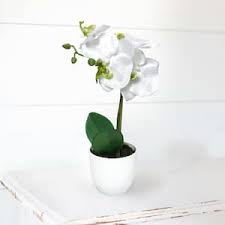 Photo 1 of 13IN FAUX WHITE DECORATION FLOWER ORCHID