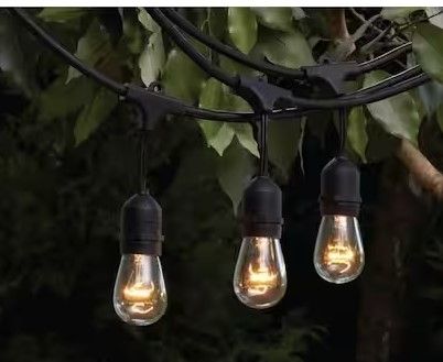 Photo 1 of 12-Light 24 ft. Black Indoor/Outdoor Commercial Incandescent Edison String Light
