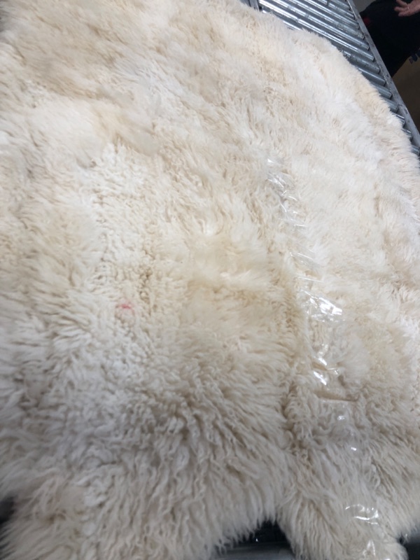 Photo 1 of 3'9" x 5' Furry Rug