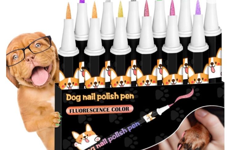 Photo 1 of DINGFENG Dog Nail Polish Pens Quick Dry, 12 Colors Shiny Pens Dog Safe Nail Polish for Dogs Puppy Nail Polish