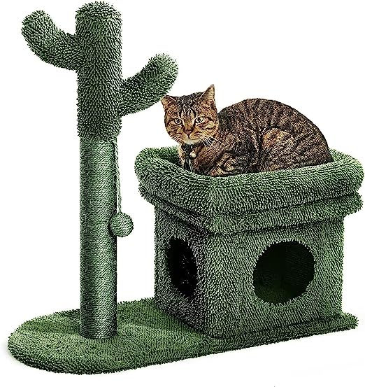 Photo 1 of Catinsider 2 in 1 Cat Scratching Post Kitty Condo with Dangling Ball for Small Cats Green