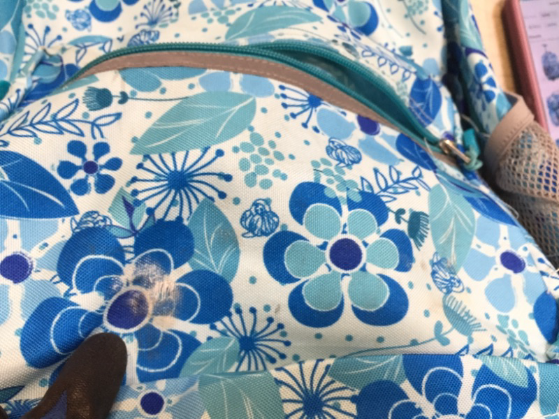 Photo 6 of J World New York Sunrise Rolling Backpack. Roller Bag with Wheels, Blue Vine, 18" ** DAMAGED **
