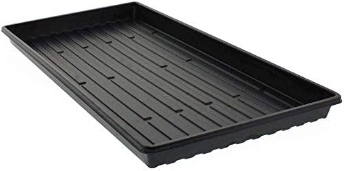 Photo 1 of  Shallow 1020 Tray Grow Seedlings, 5 COUNT