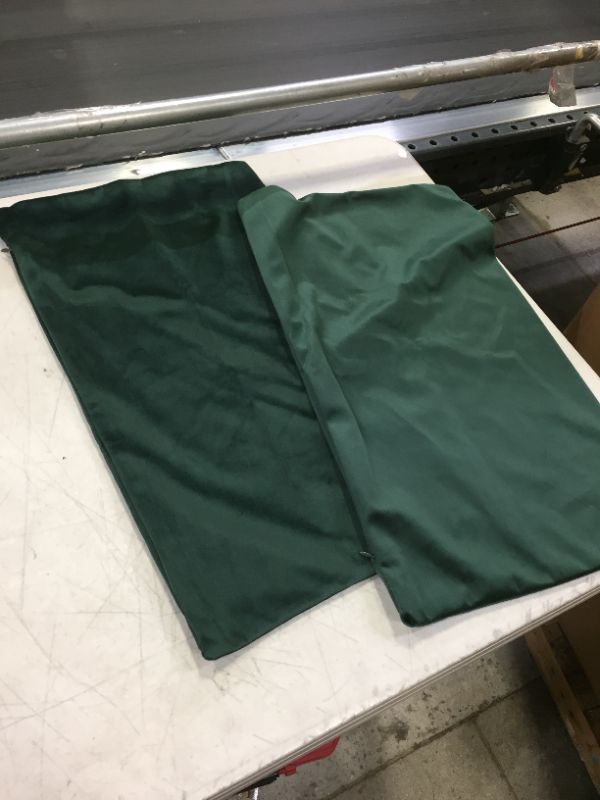 Photo 1 of 2 PILLOWCASES 20 X 12IN GREEN VELVET