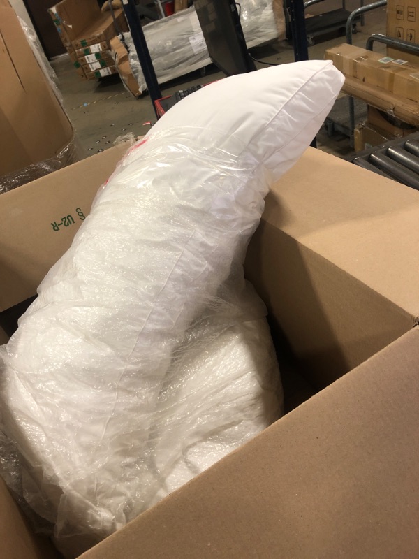 Photo 1 of 2PACK 31IN PILLOWS WHITE 