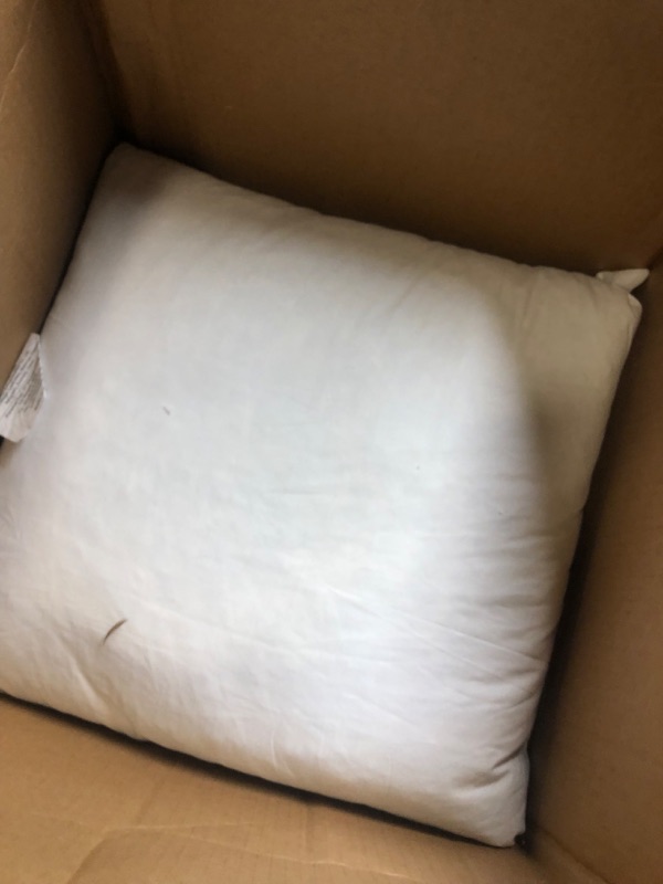 Photo 2 of 2pack white pillows 24x24