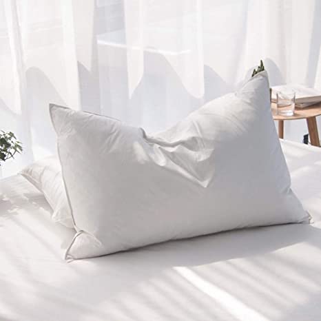 Photo 1 of AIKOFUL Luxury Goose Feathers Down Pillows for Sleeping Queen Size Bed Pillows,100% Cotton 1000 Thread Count (Queen-1 Pillow)