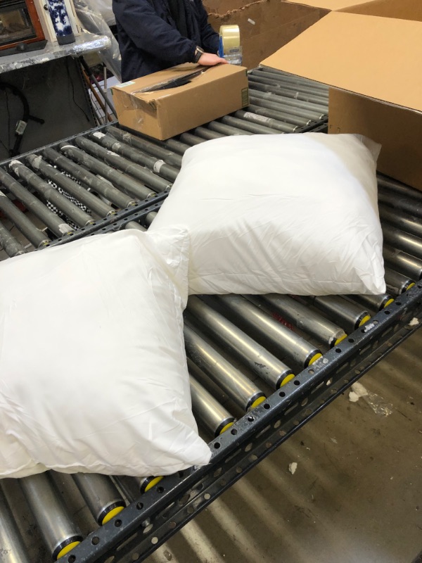 Photo 3 of 2 large sofa throw pillows 