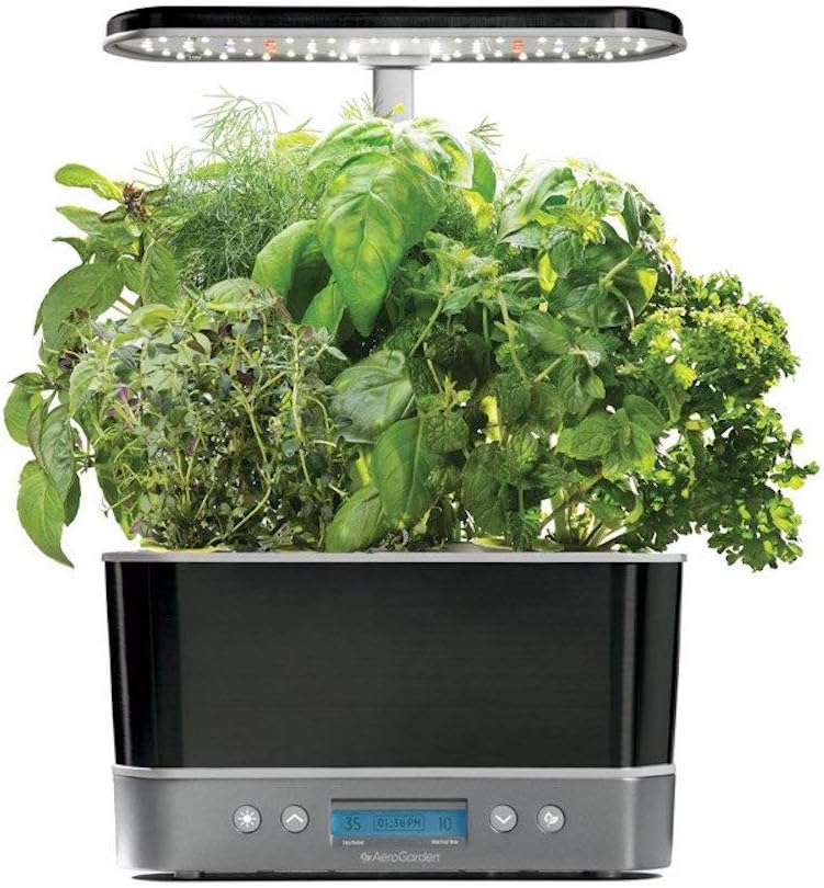 Photo 1 of AeroGarden Harvest Elite with Gourmet Herb Seed Pod Kit - Hydroponic Indoor Garden, Platinum Stainless

