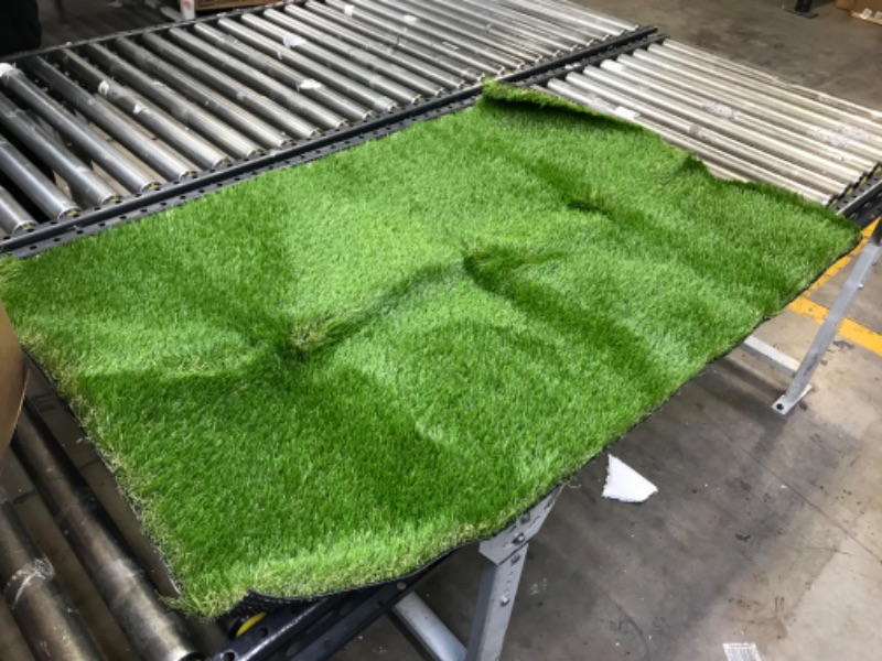 Photo 1 of 31" X 47" Fake Grass