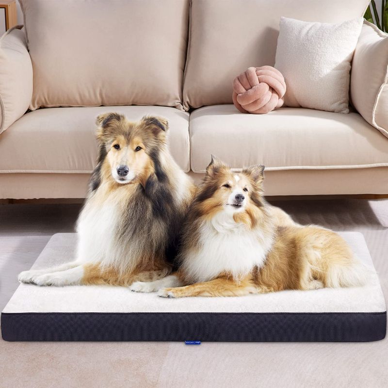 Photo 1 of BEDELITE Orthopedic Dog Bed with Removable Washable Cover - Egg Crate Foam Pet Bed Dog Beds for Large Dogs up to 75lbs - Dog Beds & Furniture Memory Foam Dog Bed for Crate NEW 