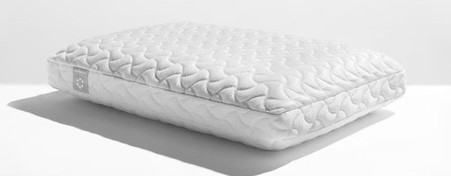 Photo 1 of TEMPUR-Cloud® Pillow (23x16")