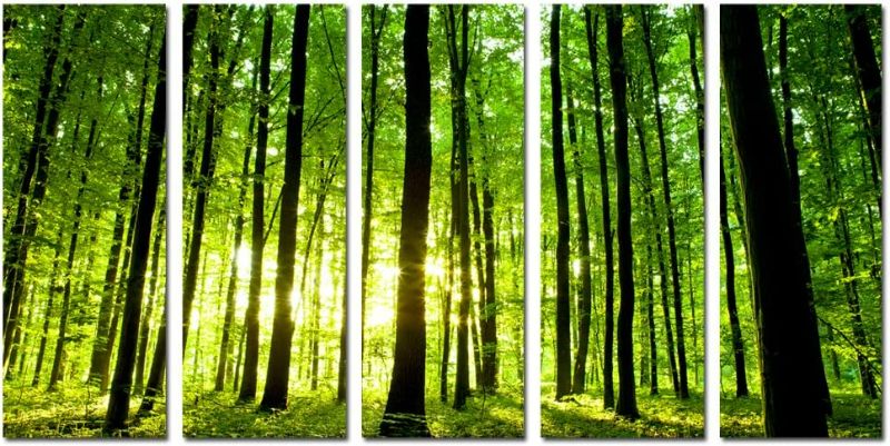 Photo 1 of sechars Large 5 Panel Canvas Prints Forest Sunset Pictures Wall Art Nature Landscape Painting for Home Living Room Decor Framed Ready to Hang Total Size 32x60inches NEW 