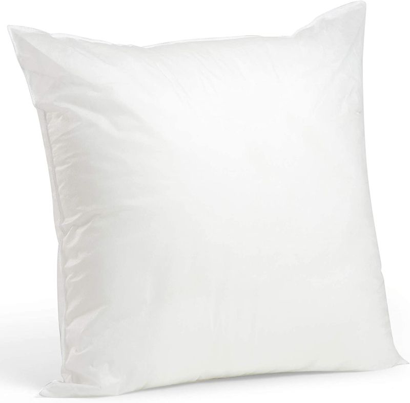 Photo 1 of Foamily Throw Pillows Insert 28 x 28 Inches 