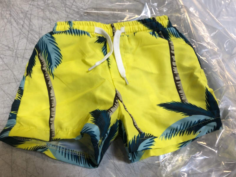 Photo 1 of BOYS SWIMMING TRUNKS SIZE 2 YEARS