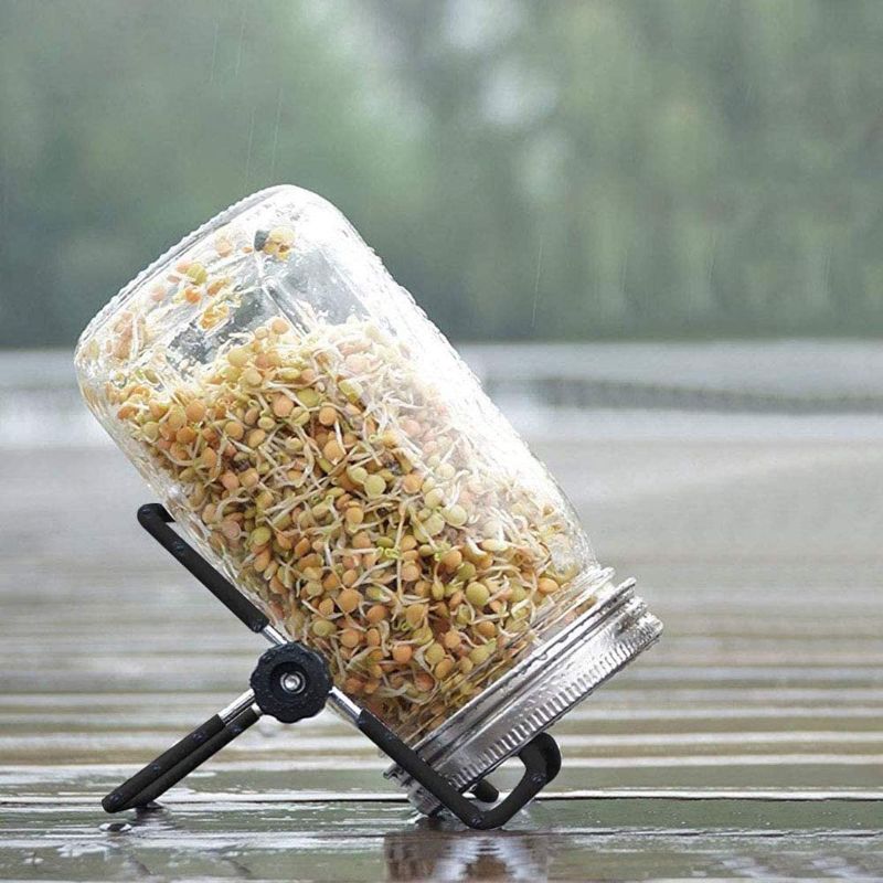 Photo 1 of 2 Pcs Stainless Steel Sprouting Jar Lids with 2 Pcs Stainless Steel Sprouting Stands for Wide Mouth Mason Jar 12oz