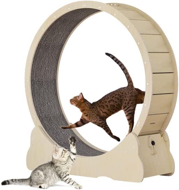 Photo 1 of Homegroove Cat Exercise Wheel for Indoor Cats, Cat Running Wheel with Carpeted Runway, Cat Sport Treadmill Wheel for Kitty’s Longer Life, Fitness Weight Loss Device, 39.3" H Natural Wood Color(M)
 