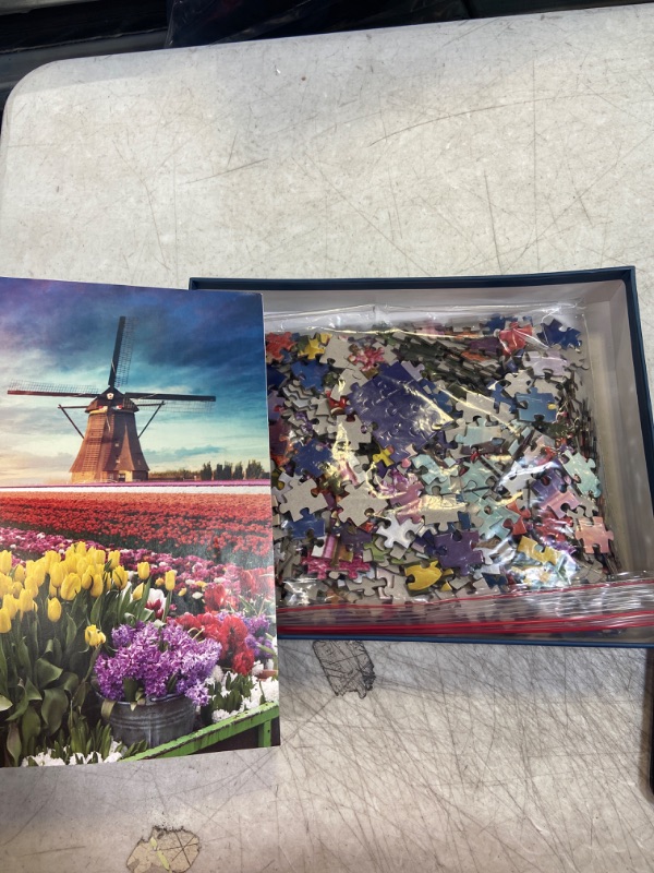 Photo 2 of 1000 piece puzzle