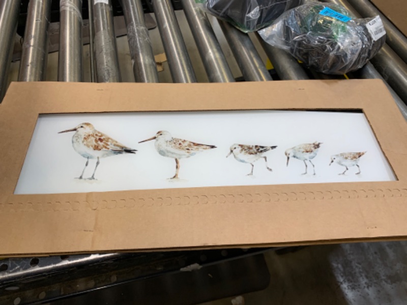 Photo 1 of 26 Glass Frame Picture of Bird --- Box Packaging Damaged, Item is New
