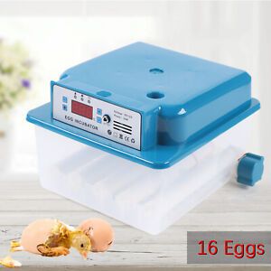 Photo 1 of  Blue Automatic Intelligent/Digtal Incubator For Hatching Poultry Eggs 
