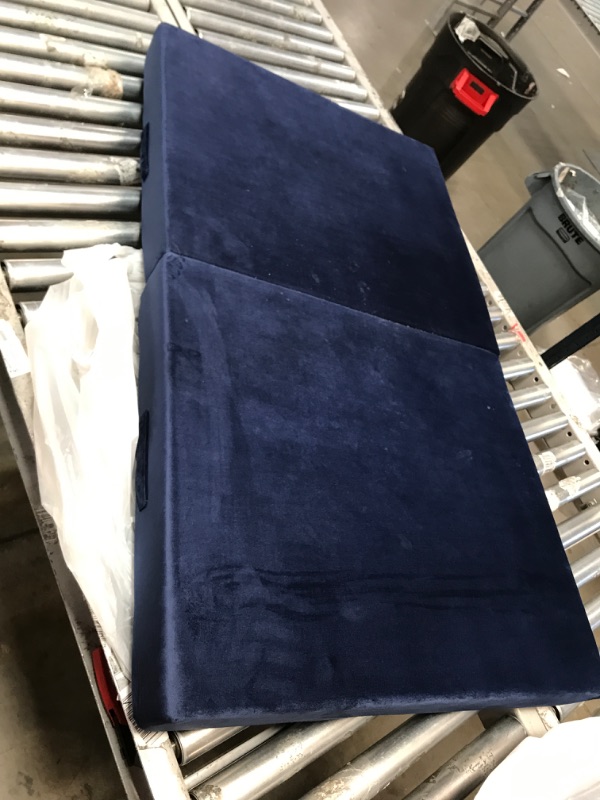 Photo 1 of 42 x 30 blue cushions 