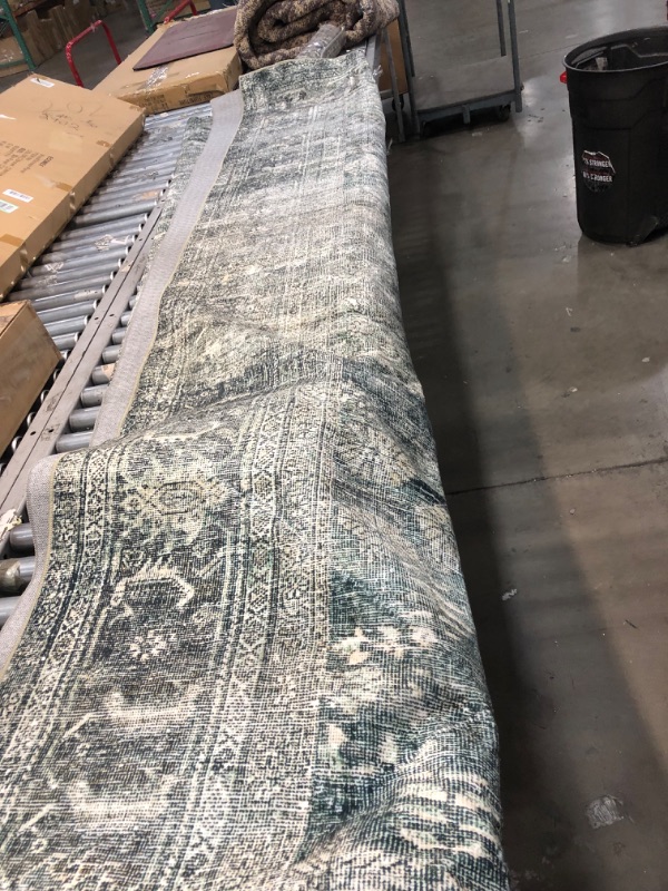 Photo 1 of 11.5 ft green home rug 