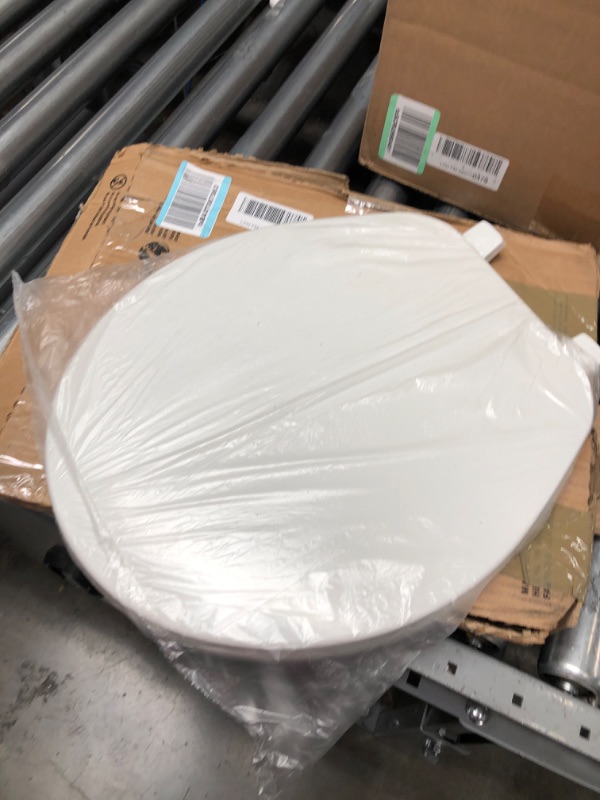 Photo 1 of BEMIS 70 000 Toilet Seat, ROUND, Plastic, White