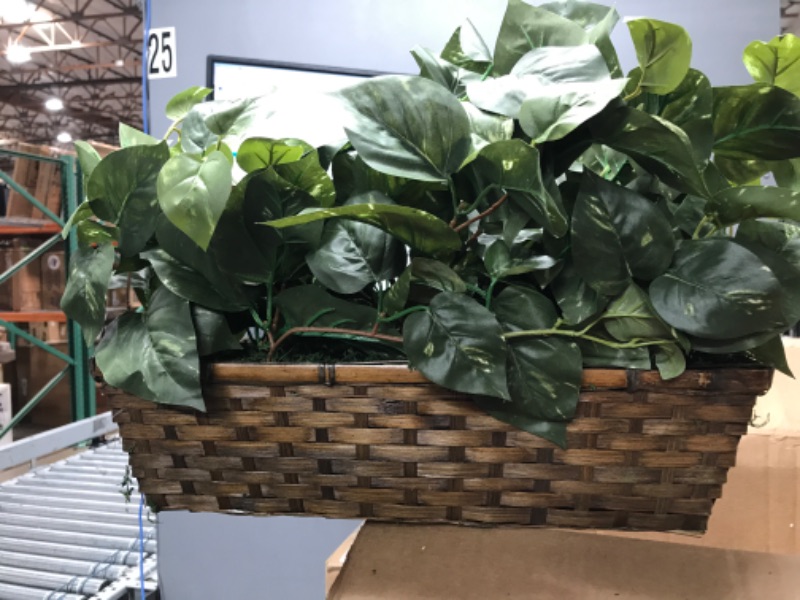 Photo 3 of 15 in. Artificial Pothos with Ledge Basket