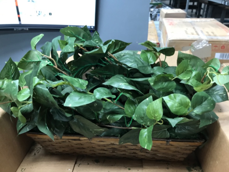 Photo 1 of 15 in. Artificial Pothos with Ledge Basket