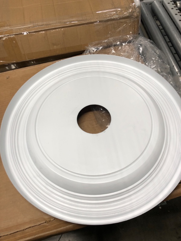 Photo 1 of CEILING MEDALLION 