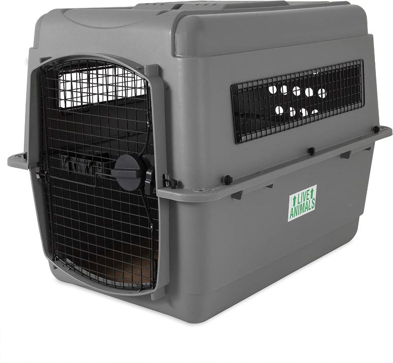 Photo 1 of 
Petmate Sky Kennel Pet Carrier, 