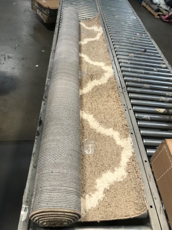 Photo 1 of **MINOR SHIPPING STAIN**SAFAVIEH Dallas Shag Collection 8' x 10' Beige/Ivory SGD257D Trellis Non-Shedding Living Room Bedroom Dining Room Entryway Plush 1.5-inch Thick Area Rug 8 ft x 10 ft Rectangular Beige / Ivory