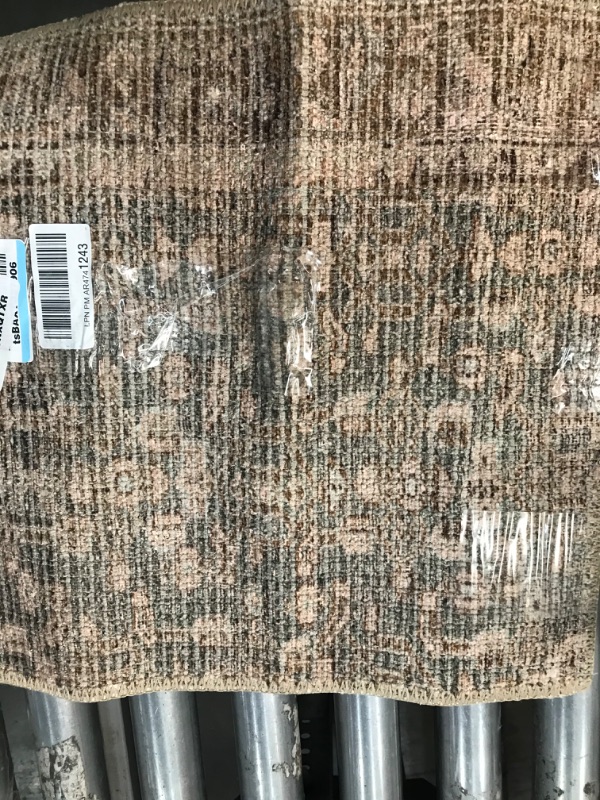 Photo 3 of *SMALL* Angela Rose x Loloi Aubrey Collection AUB-04 Sage / Bark, Traditional 18" x 18" Sample Rug Sage / Bark 18" x 18" Sample