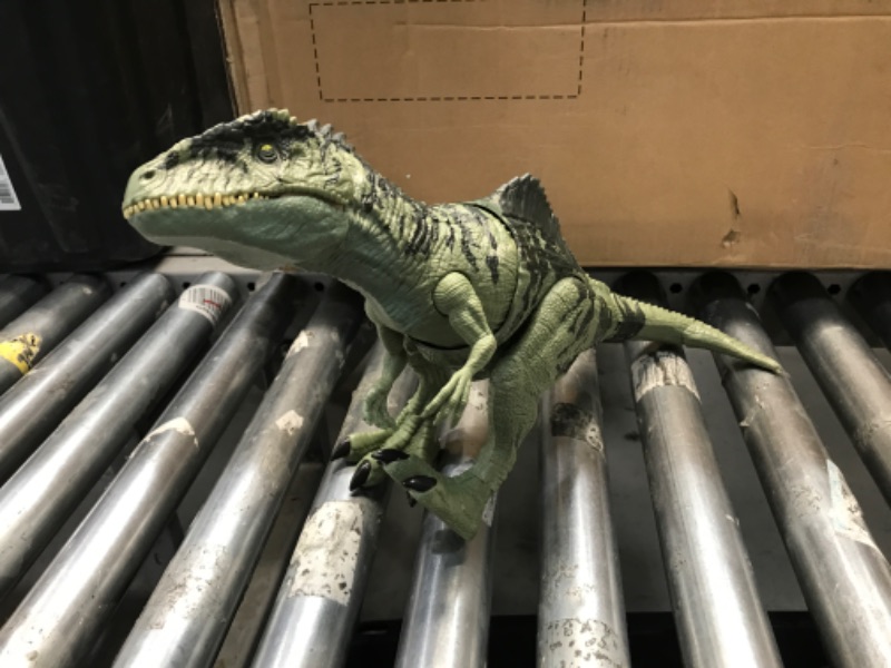 Photo 2 of **MINOR DAMAGE**Jurassic World Dominion Dinosaur Toy, Strike N Roar Giganotosaurus, Action Figure with Striking Motion and Sounds
