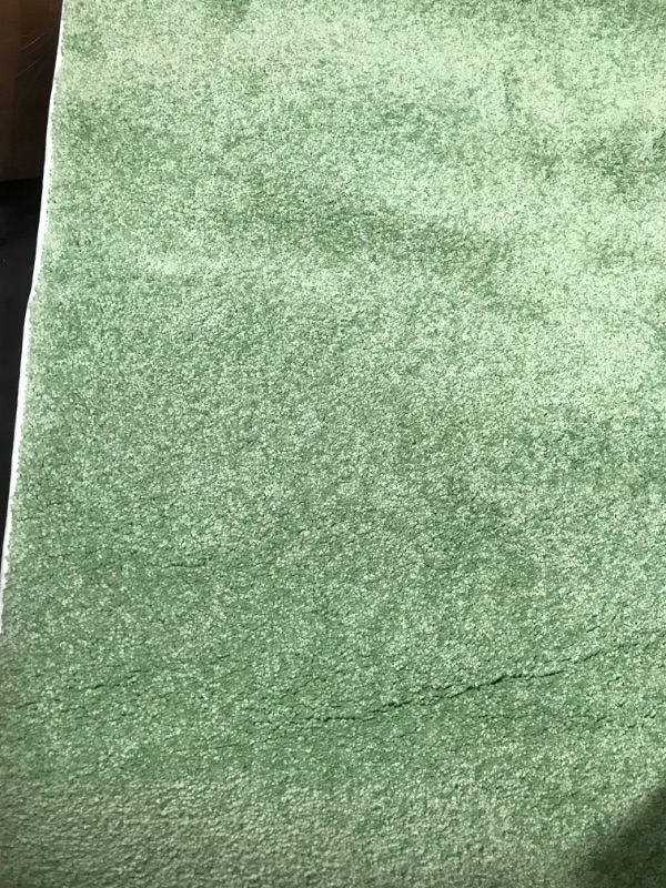 Photo 2 of 
Unique Loom Solid Shag Collection Area Rug (2' 6" x 5' Artea, Grass Green)