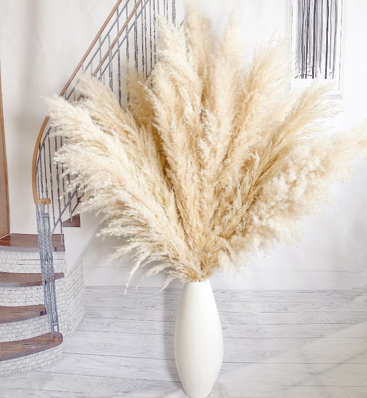 Photo 1 of 5pcs 40'' Pampas Grass Tall Decor - Pompas Floral, Tall Pampas Grass for Floor Vases, Living Room Floor, Floor Plants, Plumas para, and Grass Wall Decor