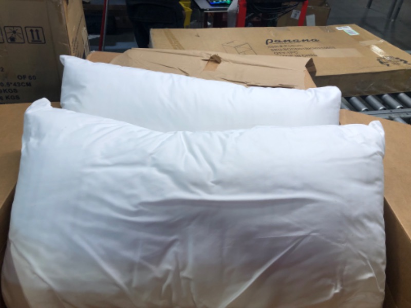 Photo 2 of 2 White Pillows 