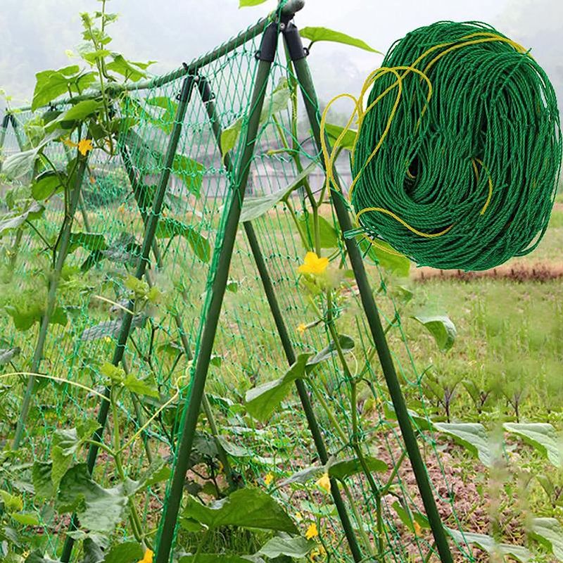 Photo 1 of WNE Jaliwale Size - 6Ft x 9ft Green Color Plant Climbing Net & Creeper Net Trellises Netting with Square Mesh for Climbing Plants, Vegetables, Fruits, and Flowers
